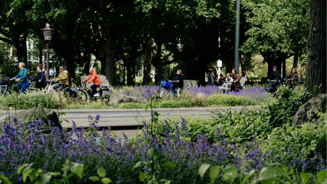 A green neighbourhood park where families spend time